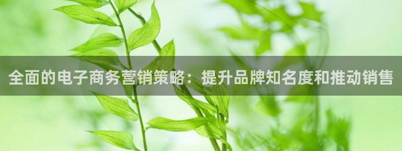 必赢棋盘app下载