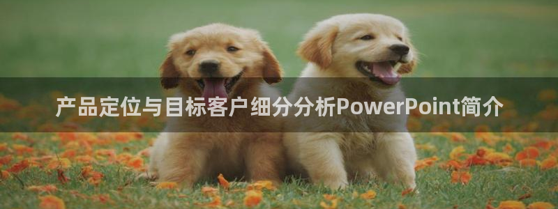 必赢官网网站入口下载