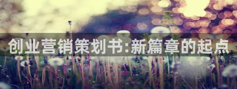 必赢客软件