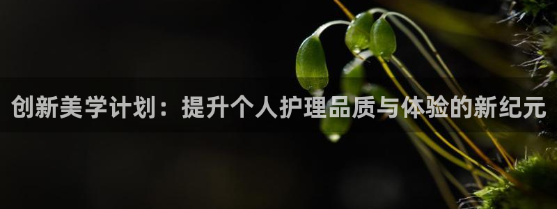 必赢科技北京有限公司