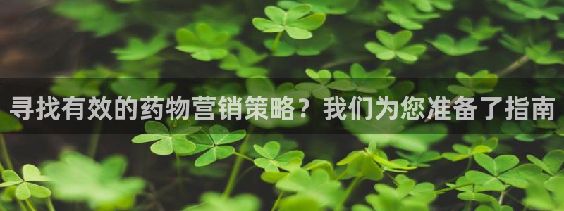 必赢棋盘9965.0版本