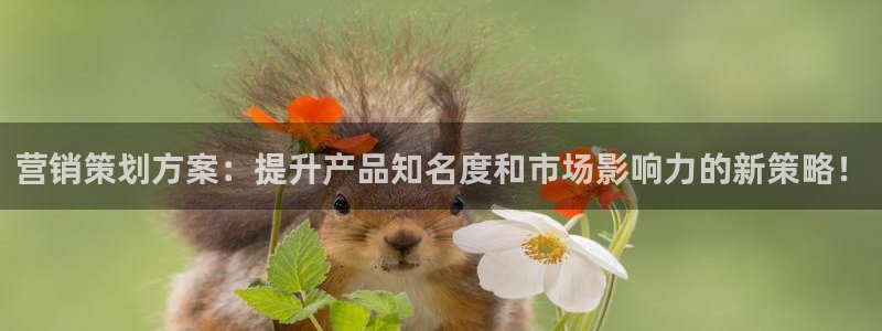 必赢3003手机网页版