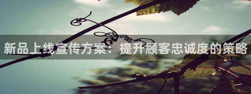 必赢线上网址