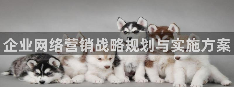 必赢国际网站合法吗
