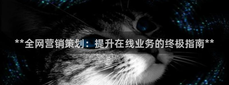 必赢8111e