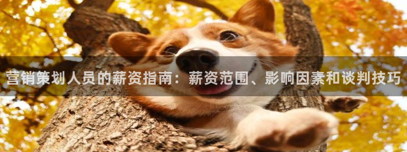 必赢官网网站入口网址