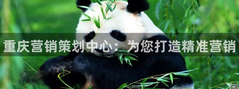 必赢网站是多少啊