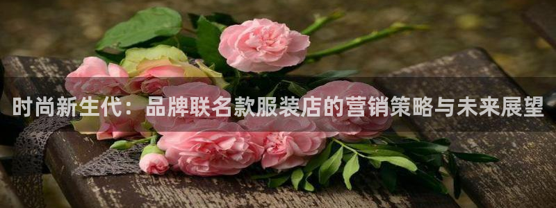 必赢旧网站