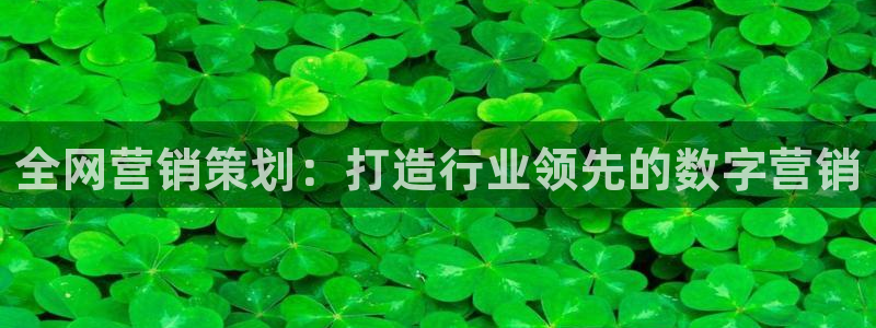 必赢88