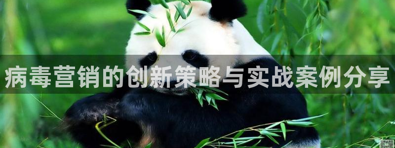 必赢72886后面字母是多少