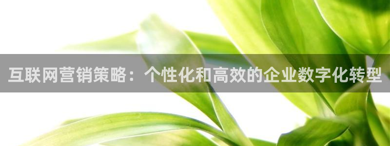 必赢平台电子