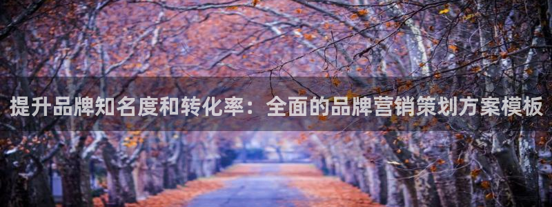 必赢棋脾9655app下载