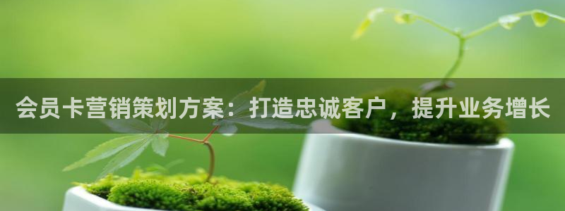必赢网址