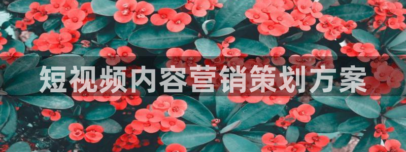 必赢官网