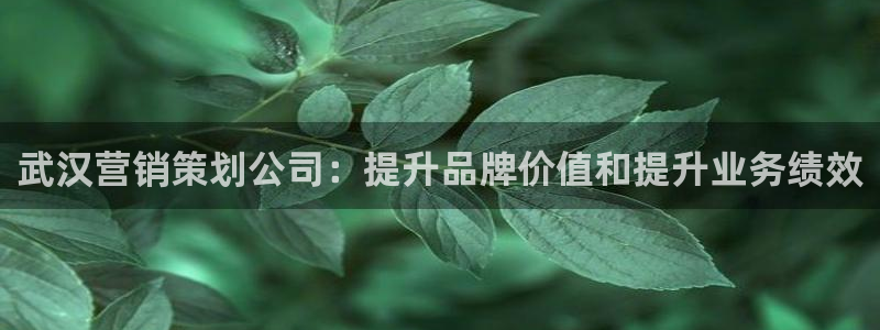 必赢手机app下载抢红包
