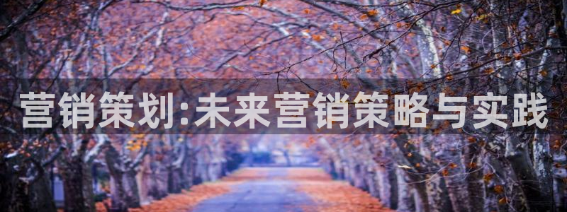 必赢437官网