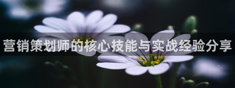 必赢72886后面字母是多少