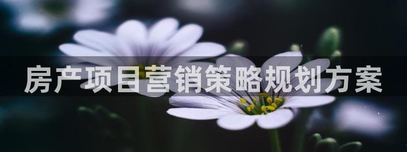 必赢国际437app下载