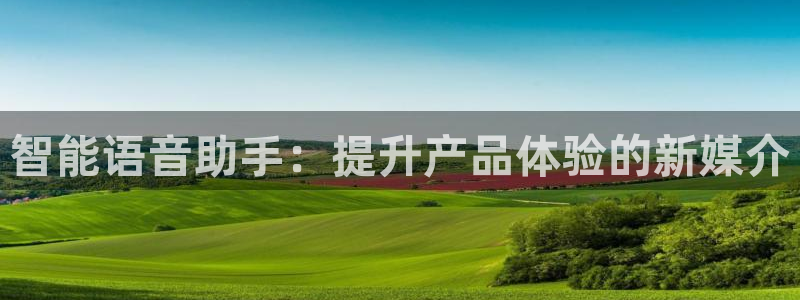 56.nt必赢官网