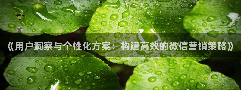 必赢官网app下载安装苹果