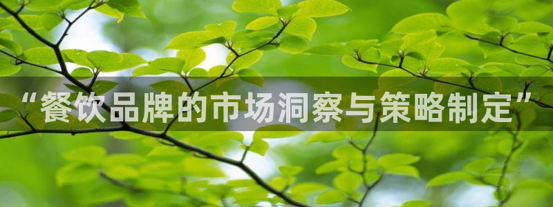 必赢3003平台