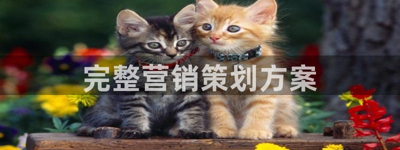 必赢亚赢网站官网下载安卓