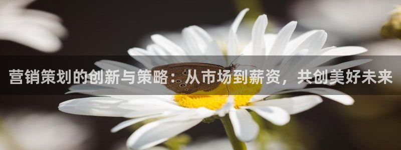 必赢官网app下载安装最新版