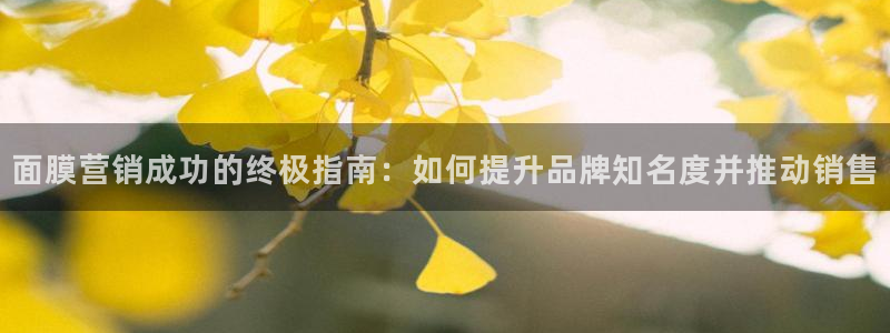 必赢手机app下载 最新版安装