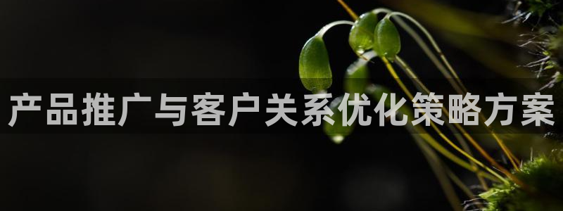 必赢亚赢网站官网下载