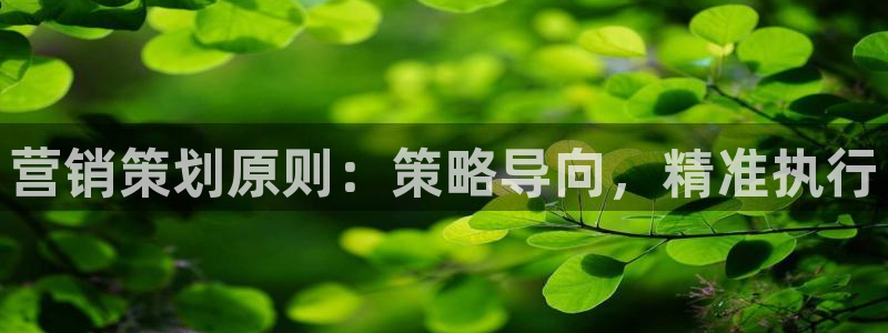 必赢国际是什么
