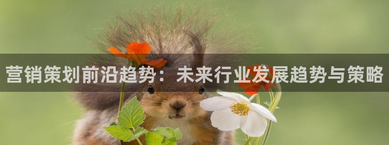 必赢3003am