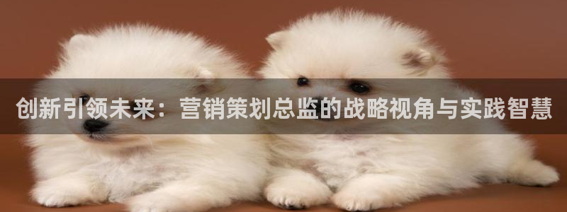 必赢抢红包网址