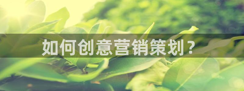 必赢3003必赢贵族宾会