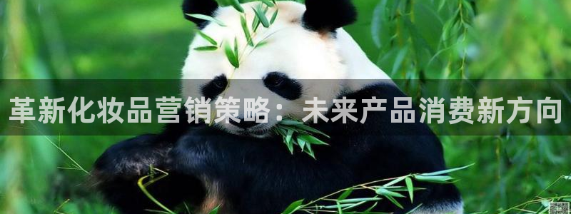 必赢游戏城