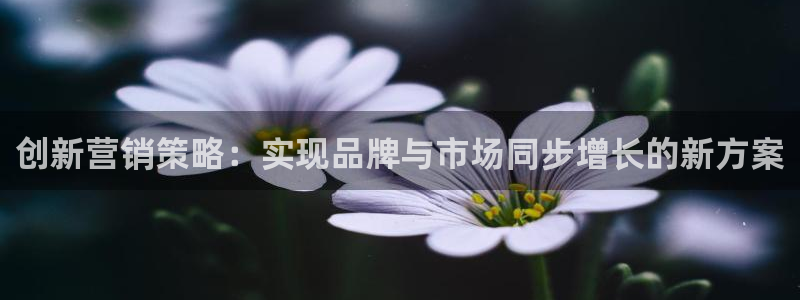 必赢网怎么打不开了呀