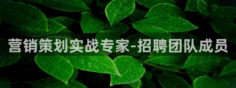 必赢平台怎么样把钱提到银行卡里