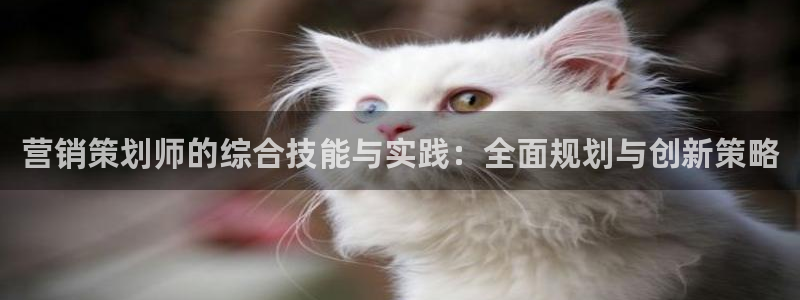 必赢国际437官方