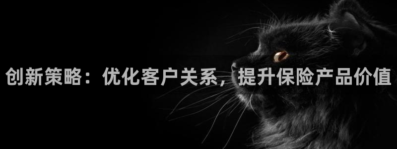 必赢公司