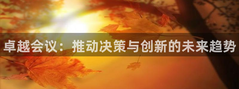 必赢网怎么打不开了呀