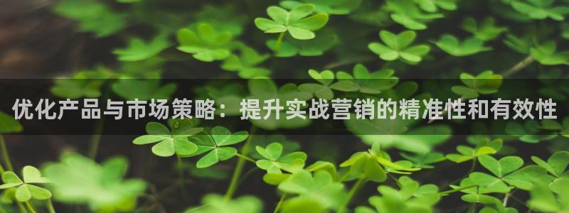 必赢科技中国有限公司