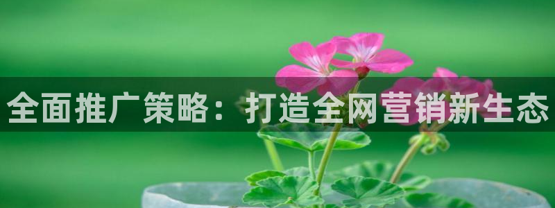 必赢国际437官网版