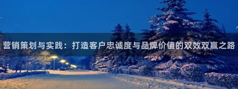 必赢网站是多少啊