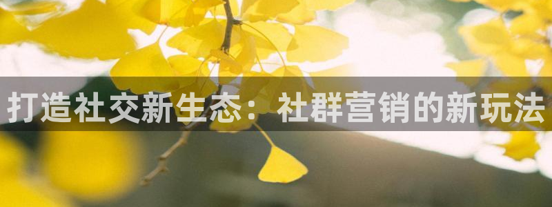 必赢线上网址