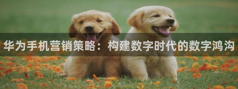 必赢网站mg冰球突破豪华版