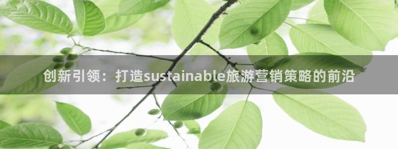必赢集团网站