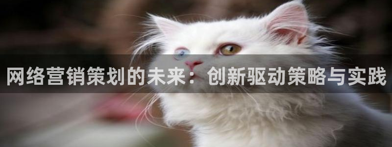 必赢这个平台怎么样知乎