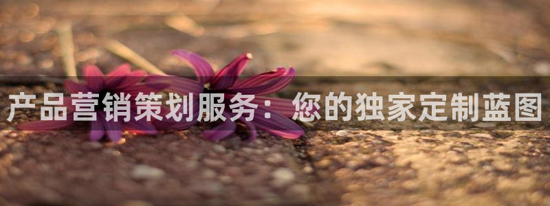 必赢8111e