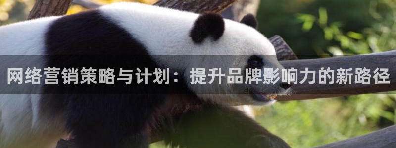 必赢官网8873欢迎您：网络营