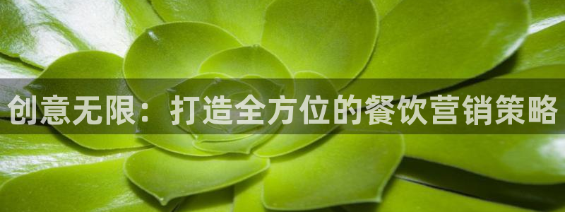 必赢官网入口下载：创意无限：打