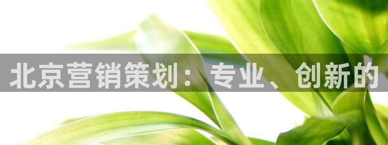 必赢下载安卓版下载：北京营销策